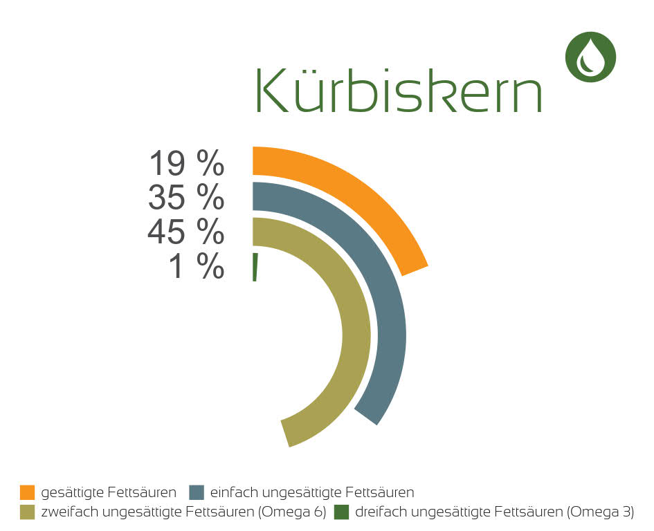 Bio Kürbiskernöl (DE-ÖKO-037) 100ml
